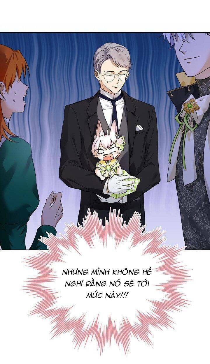 Tôi Đã Tái Sinh Thành Bé Cáo Của Thần Chapter 16 - Trang 2