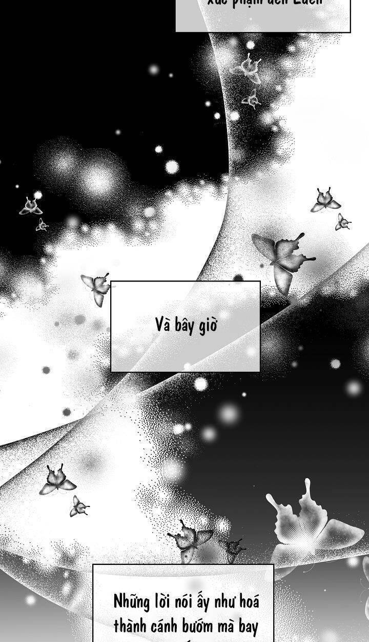 Tôi Đã Tái Sinh Thành Bé Cáo Của Thần Chapter 17 - Trang 2