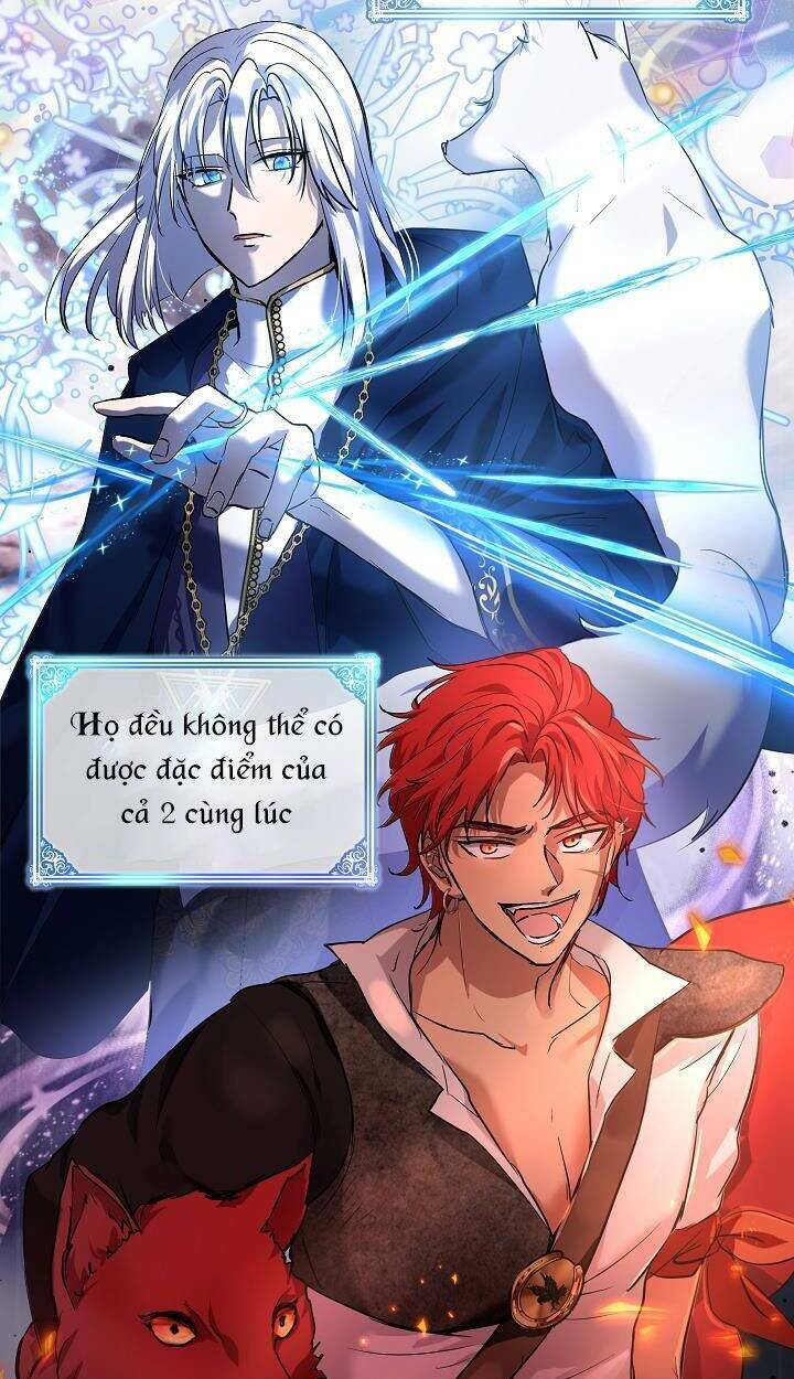 Tôi Đã Tái Sinh Thành Bé Cáo Của Thần Chapter 18 - Trang 2