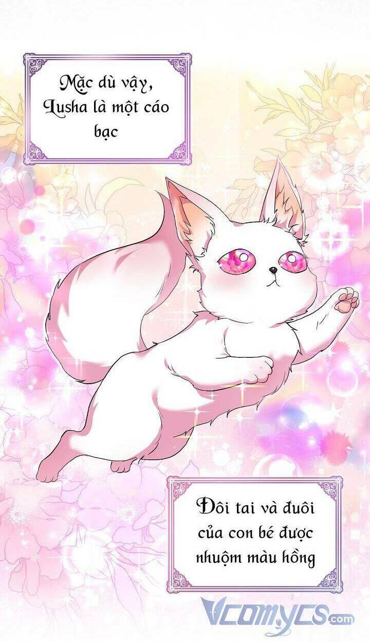 Tôi Đã Tái Sinh Thành Bé Cáo Của Thần Chapter 18 - Trang 2