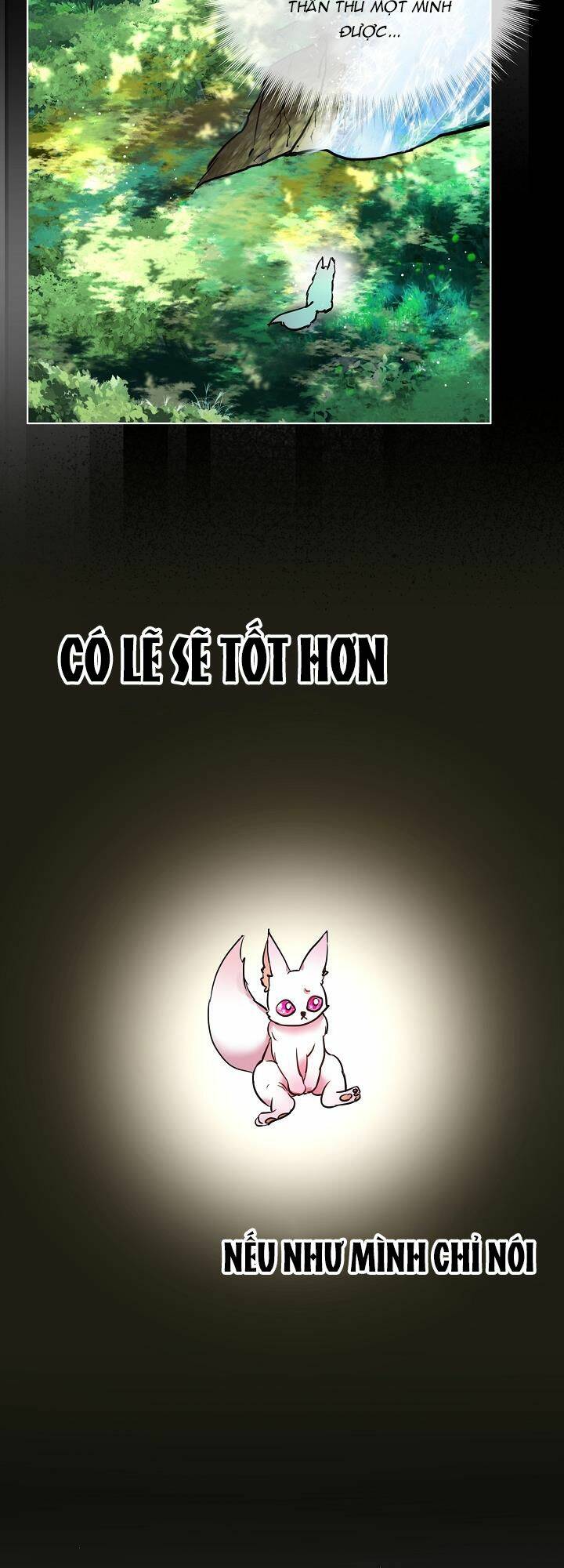 Tôi Đã Tái Sinh Thành Bé Cáo Của Thần Chapter 2 - Trang 2