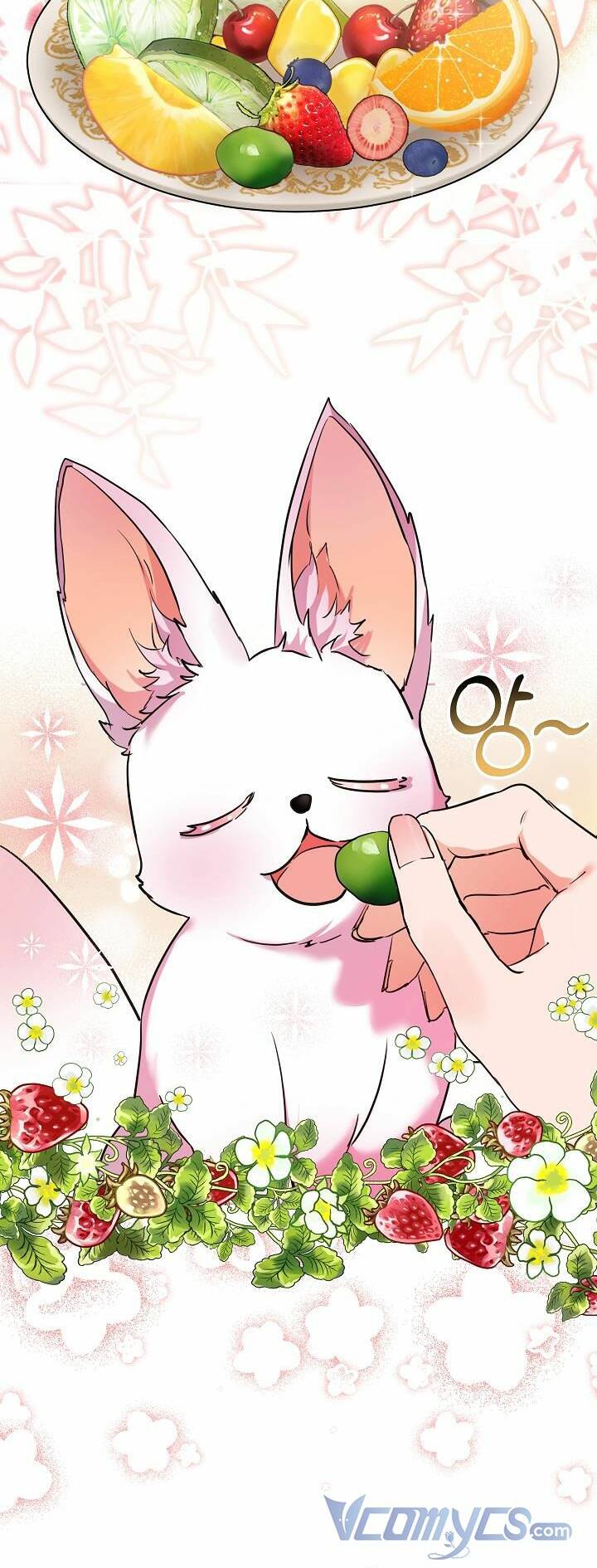 Tôi Đã Tái Sinh Thành Bé Cáo Của Thần Chapter 2 - Trang 2