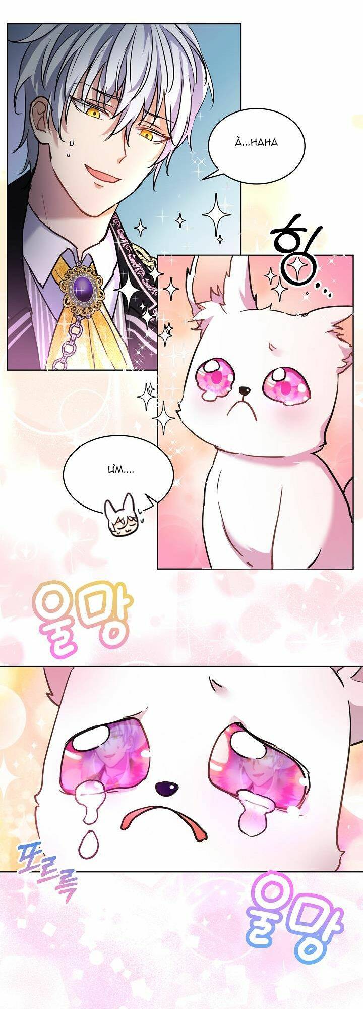 Tôi Đã Tái Sinh Thành Bé Cáo Của Thần Chapter 2 - Trang 2