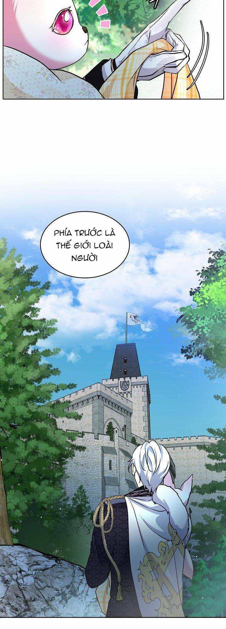 Tôi Đã Tái Sinh Thành Bé Cáo Của Thần Chapter 2 - Trang 2