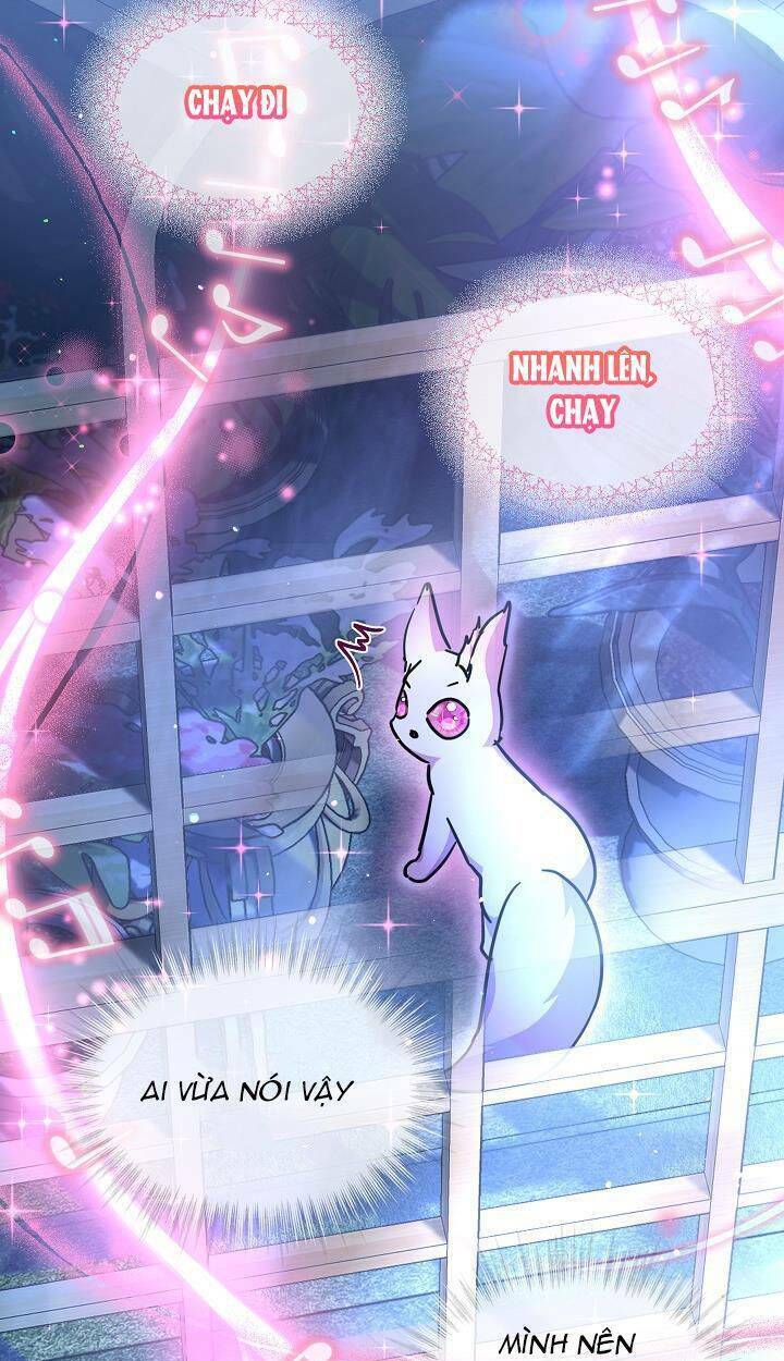 Tôi Đã Tái Sinh Thành Bé Cáo Của Thần Chapter 21 - Trang 2