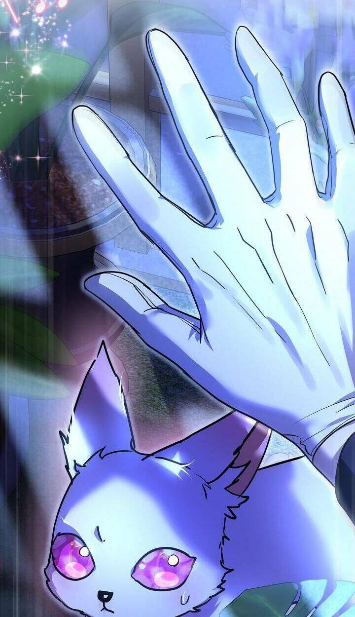 Tôi Đã Tái Sinh Thành Bé Cáo Của Thần Chapter 21 - Trang 2