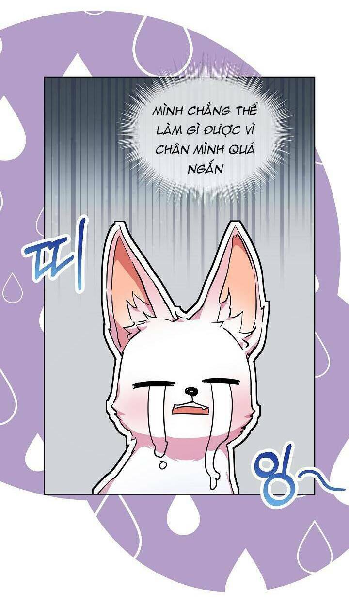 Tôi Đã Tái Sinh Thành Bé Cáo Của Thần Chapter 21 - Trang 2