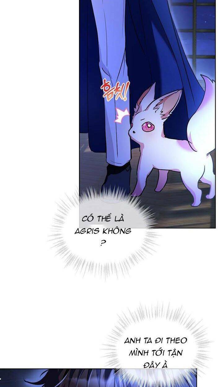 Tôi Đã Tái Sinh Thành Bé Cáo Của Thần Chapter 21 - Trang 2