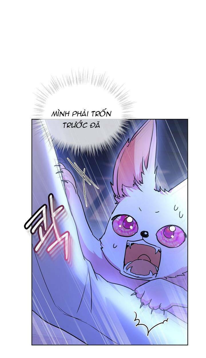 Tôi Đã Tái Sinh Thành Bé Cáo Của Thần Chapter 21 - Trang 2