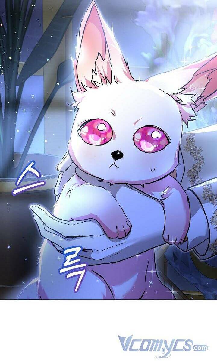 Tôi Đã Tái Sinh Thành Bé Cáo Của Thần Chapter 21 - Trang 2