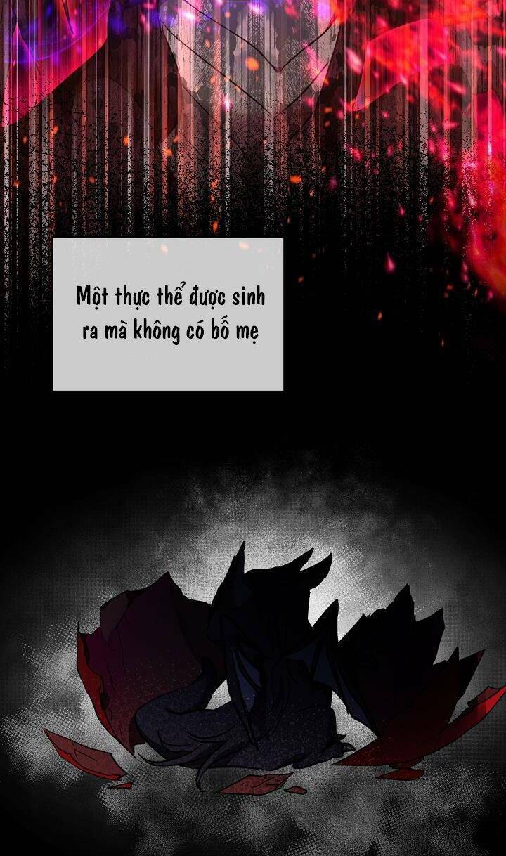 Tôi Đã Tái Sinh Thành Bé Cáo Của Thần Chapter 22 - Trang 2