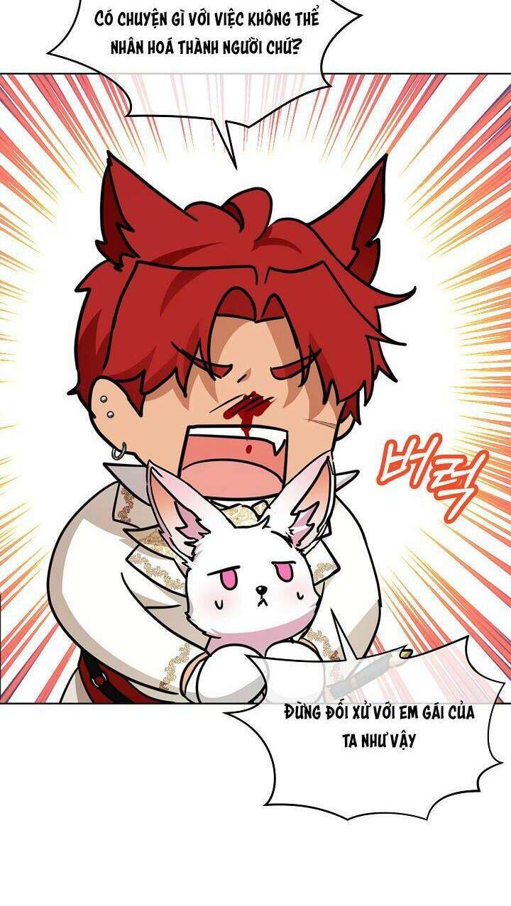 Tôi Đã Tái Sinh Thành Bé Cáo Của Thần Chapter 23 - Trang 2