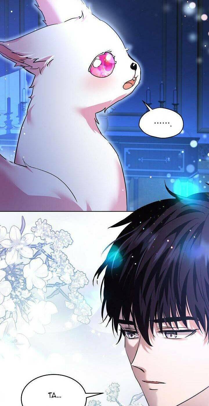 Tôi Đã Tái Sinh Thành Bé Cáo Của Thần Chapter 23 - Trang 2