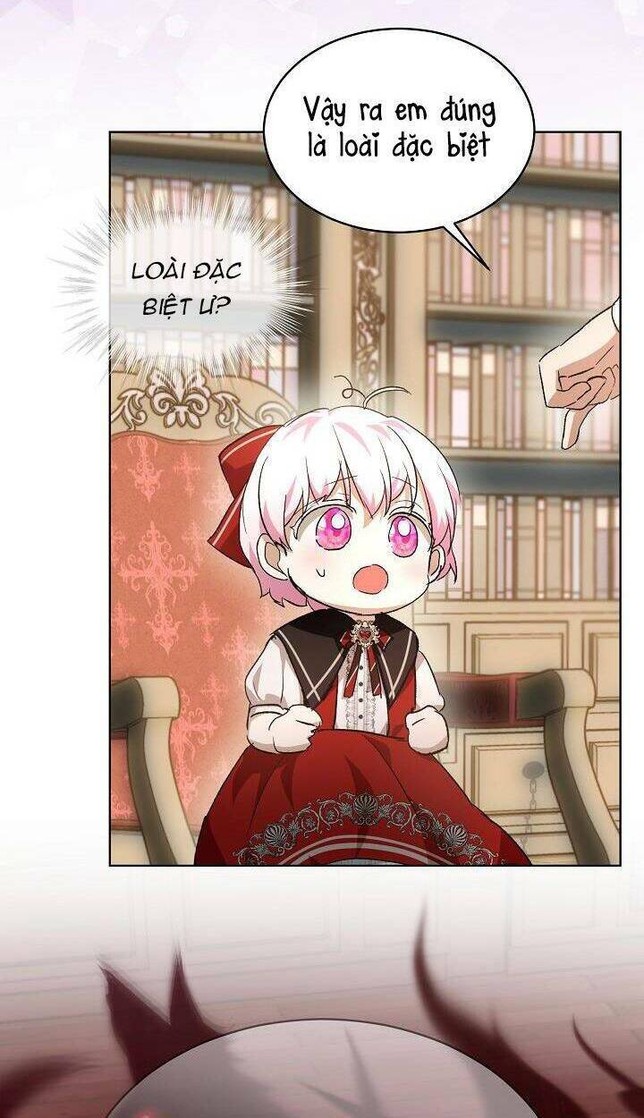 Tôi Đã Tái Sinh Thành Bé Cáo Của Thần Chapter 24 - Trang 2