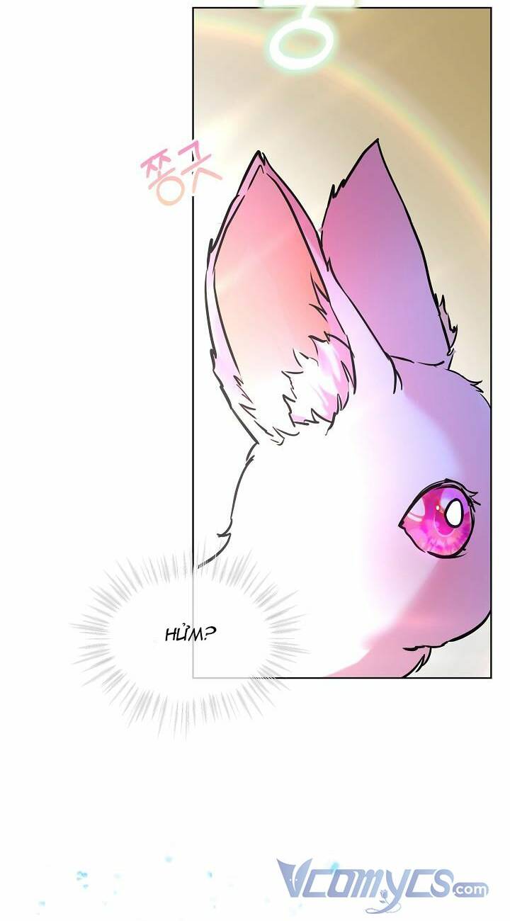 Tôi Đã Tái Sinh Thành Bé Cáo Của Thần Chapter 3 - Trang 2