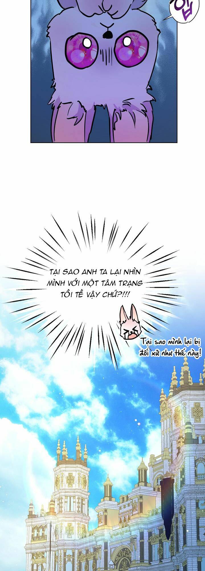 Tôi Đã Tái Sinh Thành Bé Cáo Của Thần Chapter 3 - Trang 2