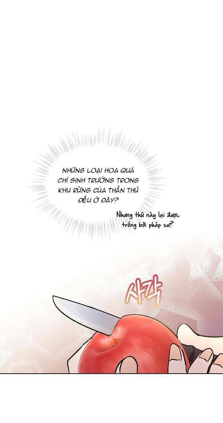 Tôi Đã Tái Sinh Thành Bé Cáo Của Thần Chapter 4 - Trang 2