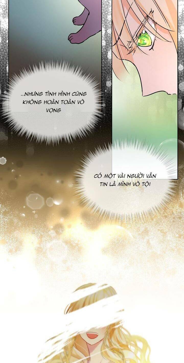 Tôi Đã Tái Sinh Thành Bé Cáo Của Thần Chapter 4 - Trang 2