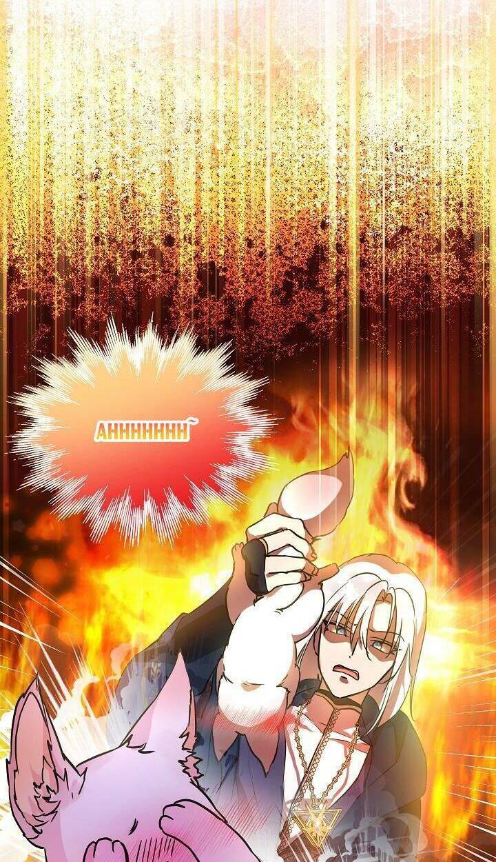 Tôi Đã Tái Sinh Thành Bé Cáo Của Thần Chapter 4 - Trang 2