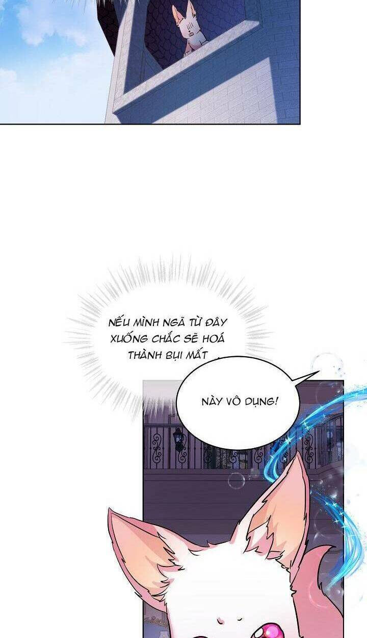 Tôi Đã Tái Sinh Thành Bé Cáo Của Thần Chapter 5 - Trang 2