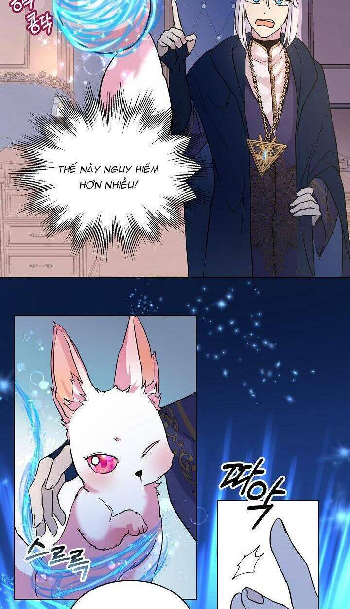 Tôi Đã Tái Sinh Thành Bé Cáo Của Thần Chapter 5 - Trang 2