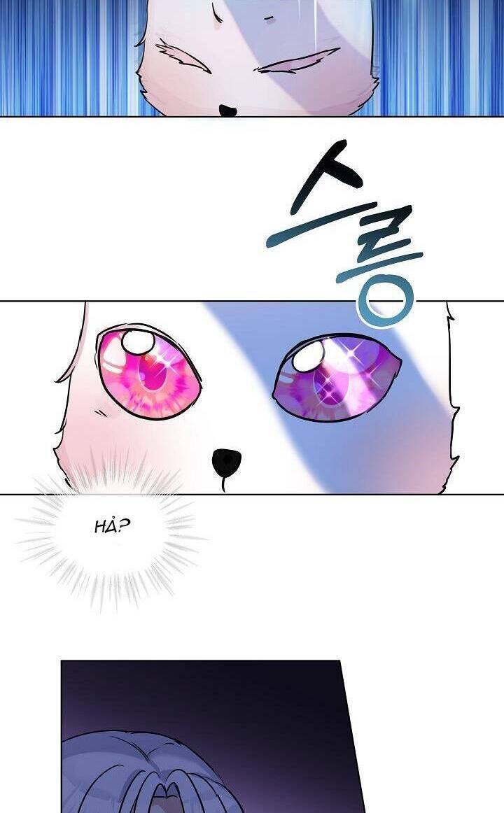 Tôi Đã Tái Sinh Thành Bé Cáo Của Thần Chapter 5 - Trang 2