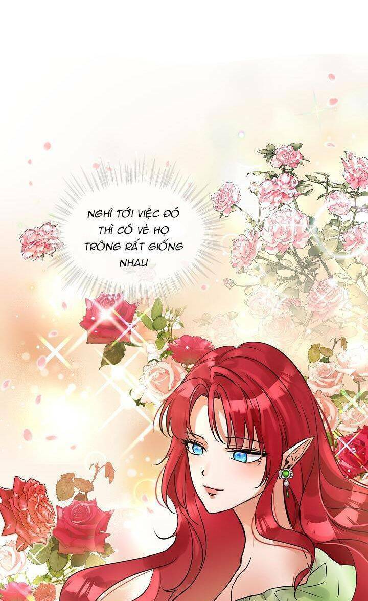 Tôi Đã Tái Sinh Thành Bé Cáo Của Thần Chapter 5 - Trang 2