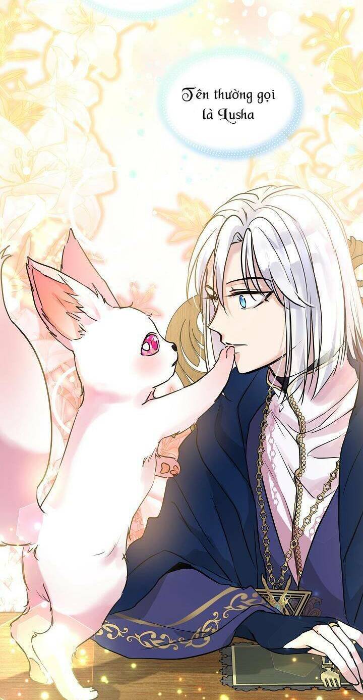 Tôi Đã Tái Sinh Thành Bé Cáo Của Thần Chapter 6 - Trang 2