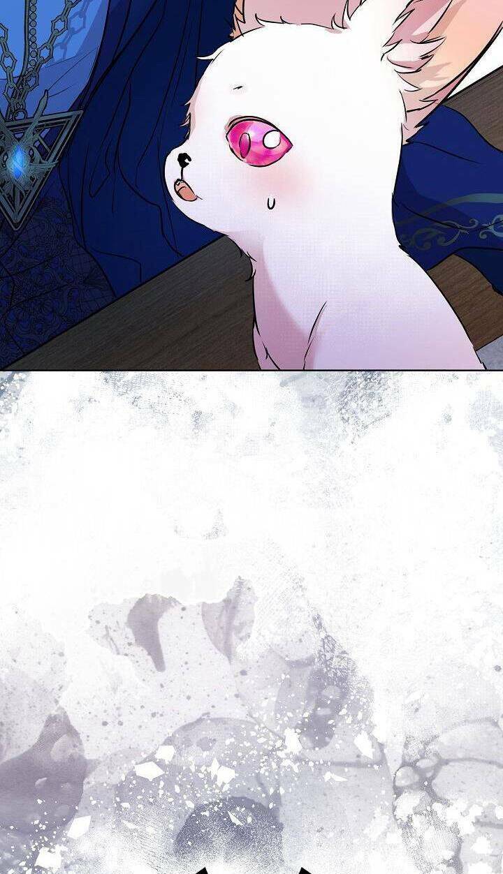 Tôi Đã Tái Sinh Thành Bé Cáo Của Thần Chapter 6 - Trang 2