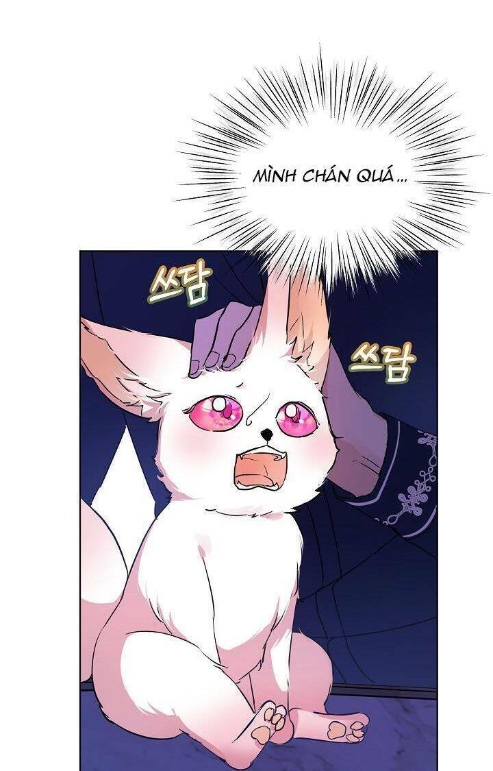 Tôi Đã Tái Sinh Thành Bé Cáo Của Thần Chapter 7 - Trang 2