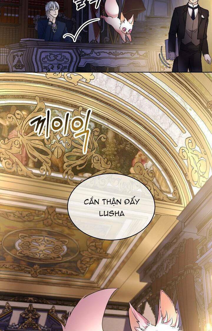 Tôi Đã Tái Sinh Thành Bé Cáo Của Thần Chapter 7 - Trang 2