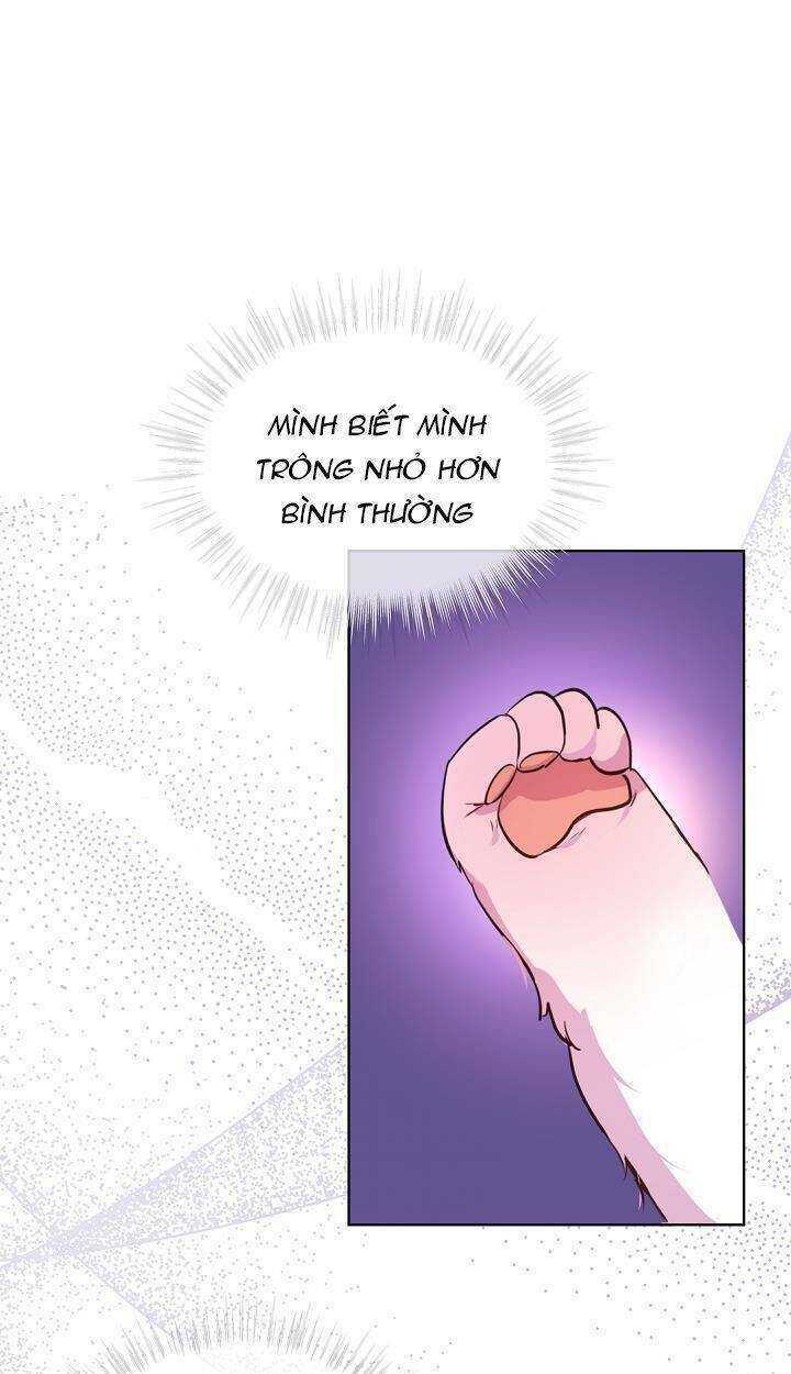 Tôi Đã Tái Sinh Thành Bé Cáo Của Thần Chapter 7 - Trang 2