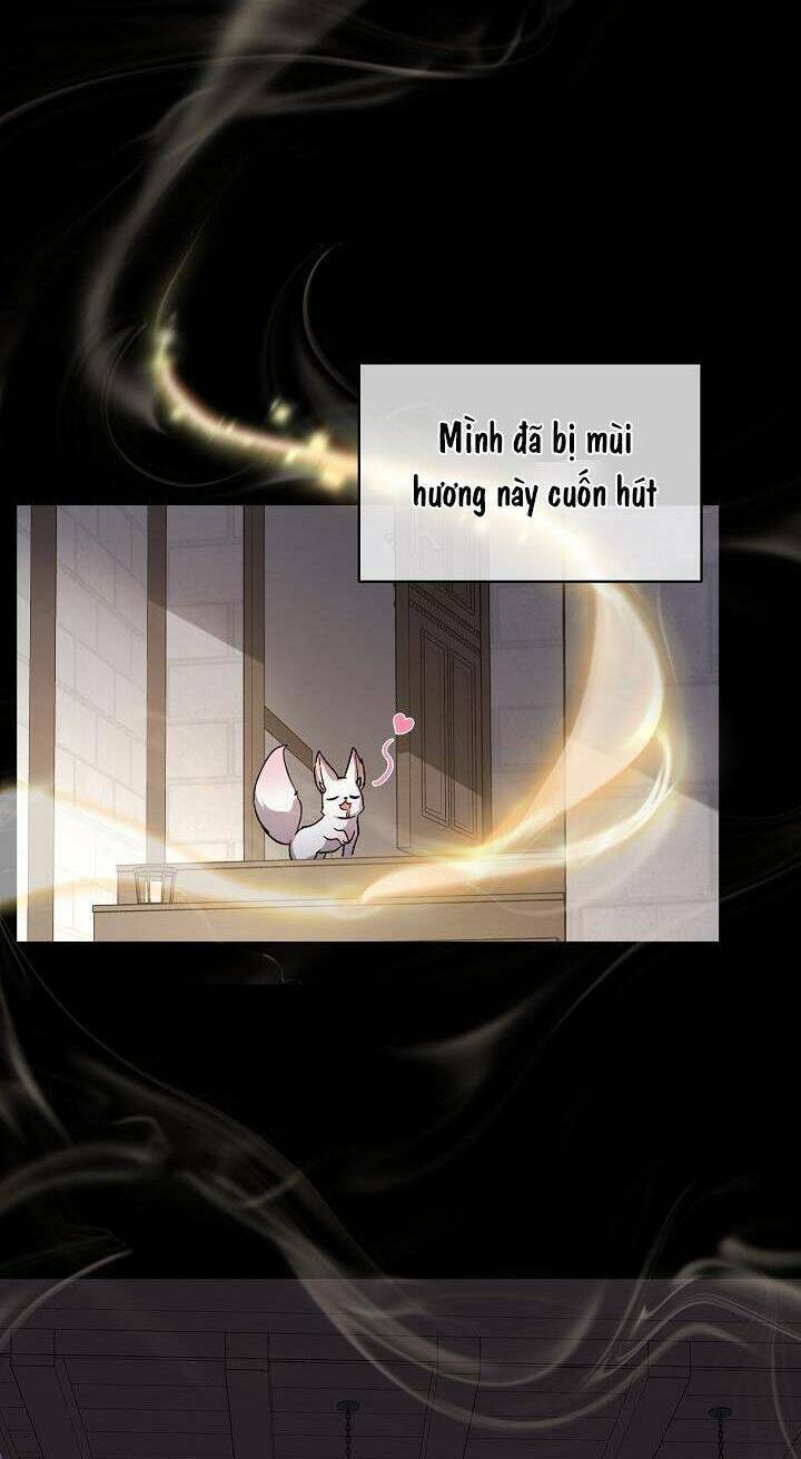 Tôi Đã Tái Sinh Thành Bé Cáo Của Thần Chapter 8 - Trang 2