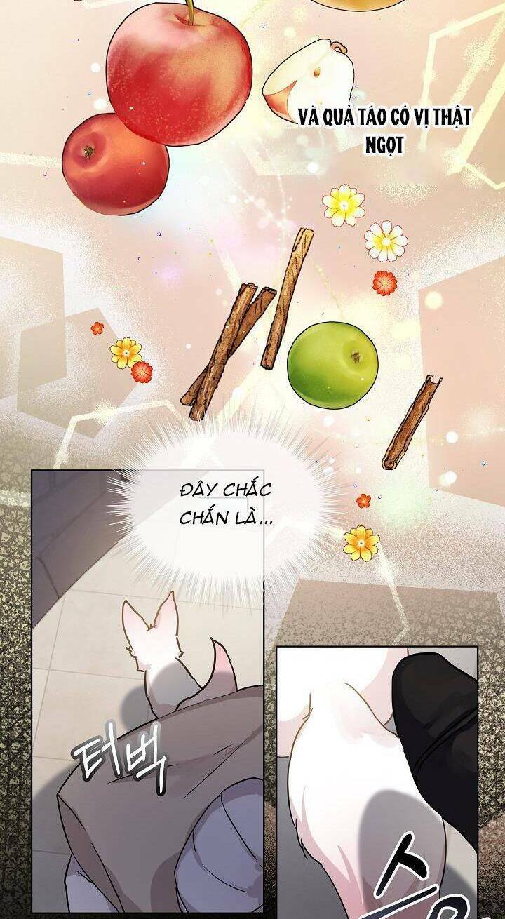 Tôi Đã Tái Sinh Thành Bé Cáo Của Thần Chapter 8 - Trang 2