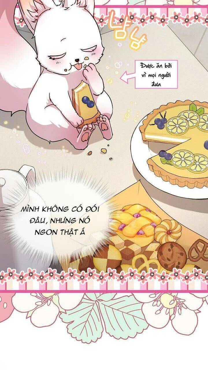 Tôi Đã Tái Sinh Thành Bé Cáo Của Thần Chapter 8 - Trang 2