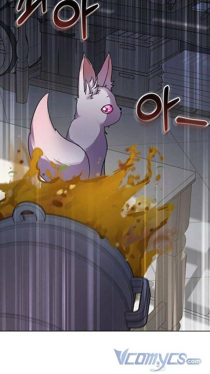 Tôi Đã Tái Sinh Thành Bé Cáo Của Thần Chapter 8 - Trang 2