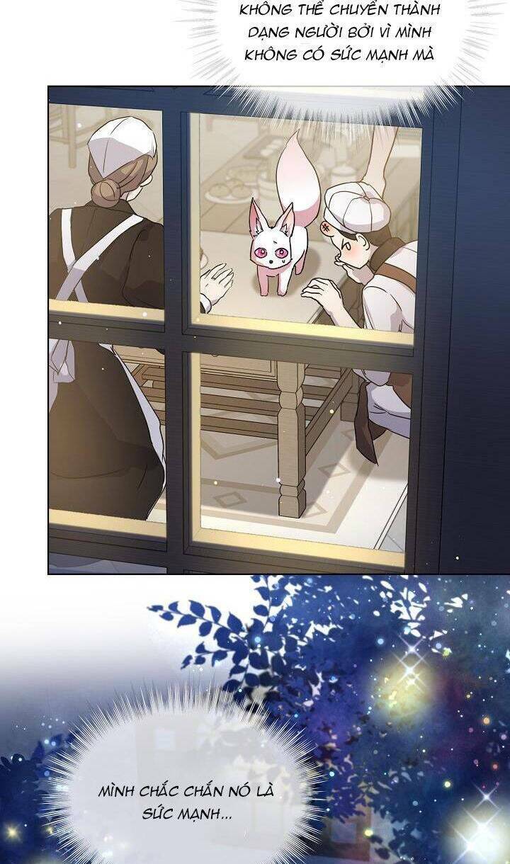 Tôi Đã Tái Sinh Thành Bé Cáo Của Thần Chapter 8 - Trang 2