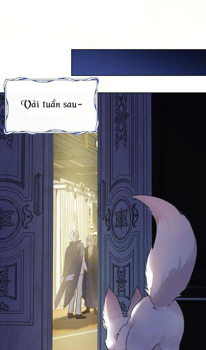 Tôi Đã Tái Sinh Thành Bé Cáo Của Thần Chapter 8 - Trang 2