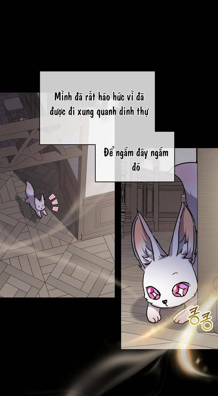 Tôi Đã Tái Sinh Thành Bé Cáo Của Thần Chapter 8 - Trang 2