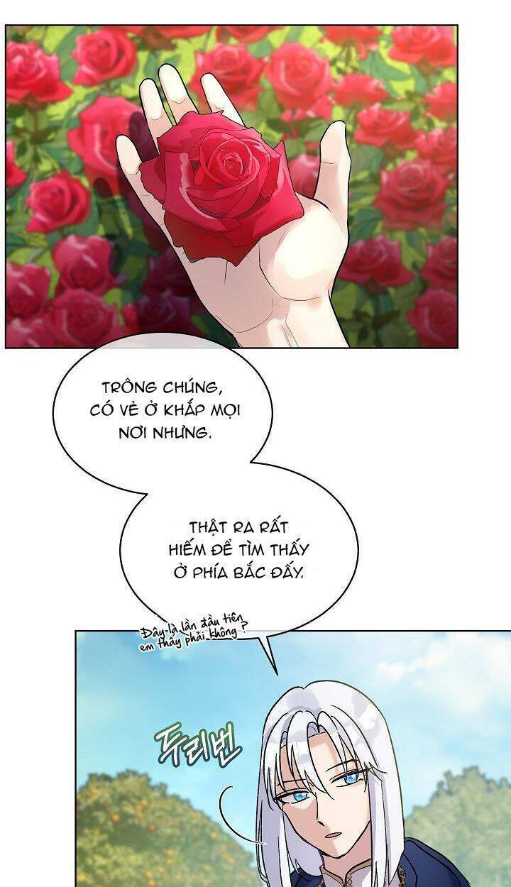 Tôi Đã Tái Sinh Thành Bé Cáo Của Thần Chapter 9 - Trang 2