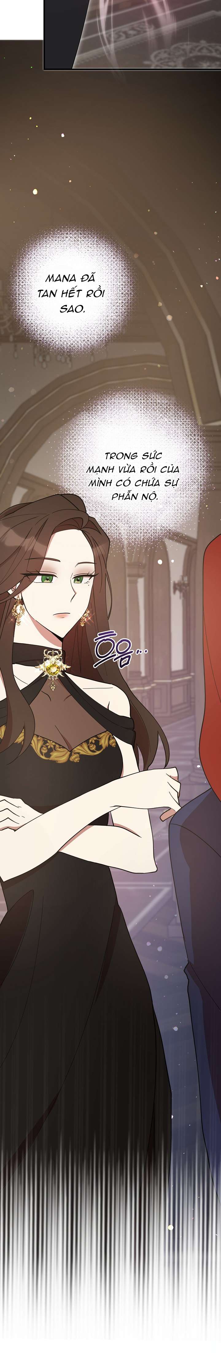 Tôi Đã Vô Tình Quyến Rũ Em Trai Của Nam Chính Chapter 52 - Trang 2