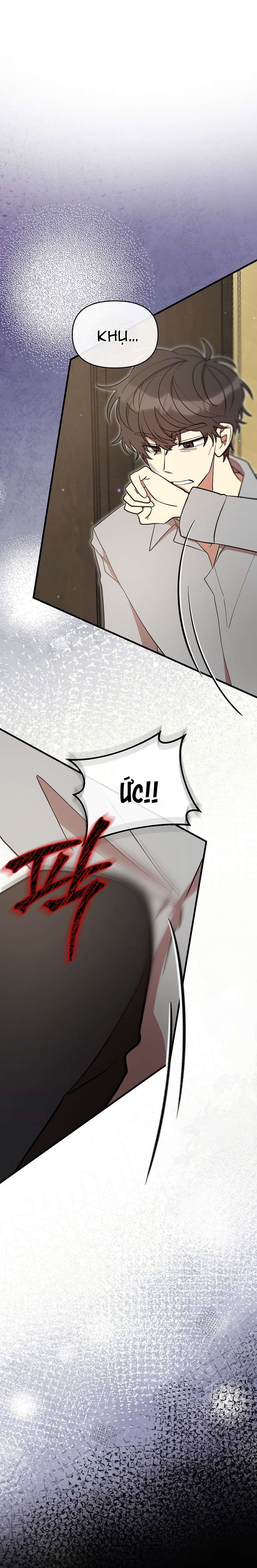 Tôi Đã Vô Tình Quyến Rũ Em Trai Của Nam Chính Chapter 52 - Trang 2