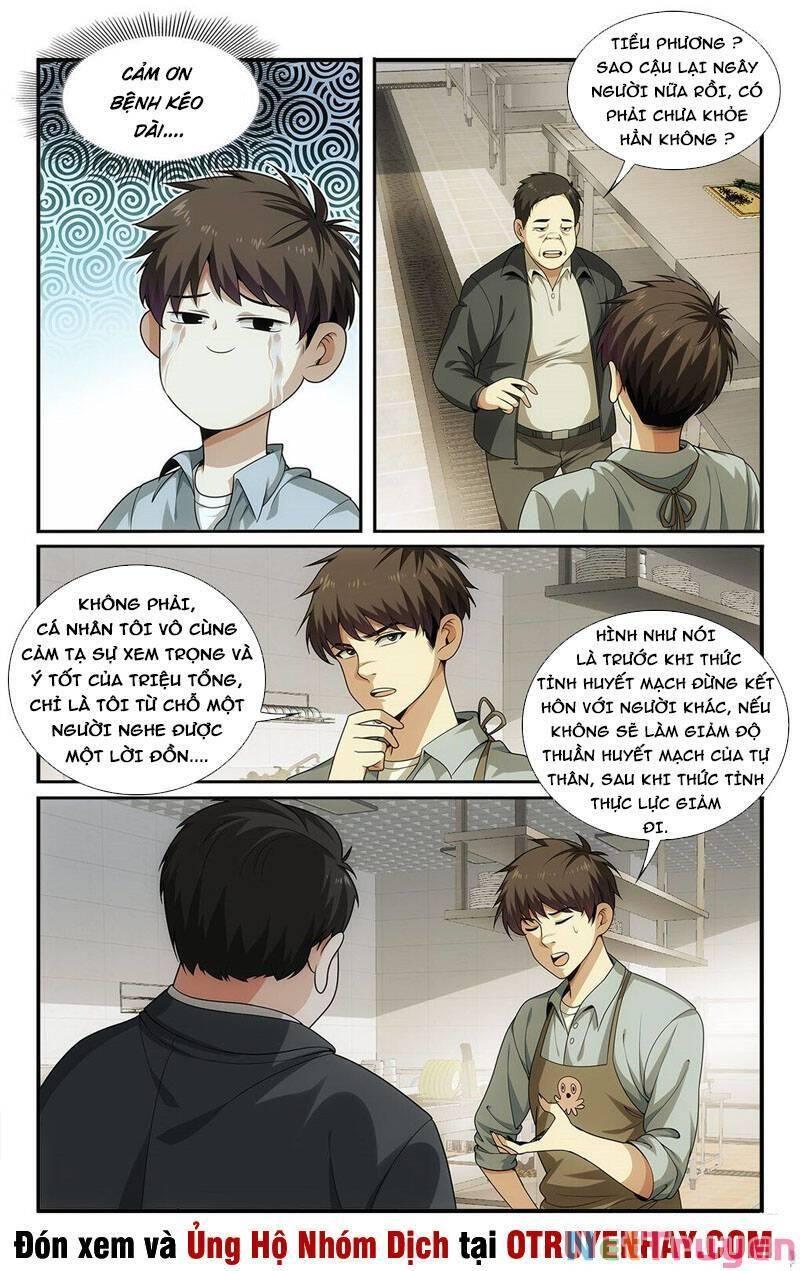 Tôi Được Hệ Thống Ủy Thác Chapter 26 - Trang 2