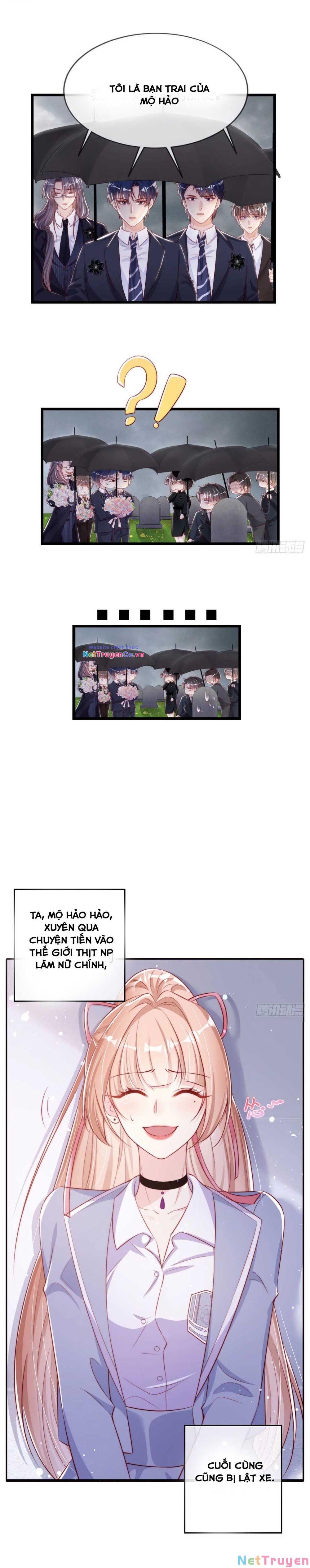 Tôi Được Năm Đại Lão Chiều Chuộng Hết Nấc Chapter 0 - Trang 2