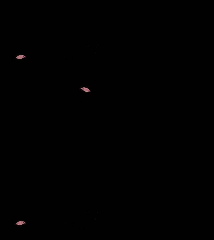 Tôi Không Cố Ý Quyến Rũ Nam Chính Đâu! Chapter 1 - Trang 2