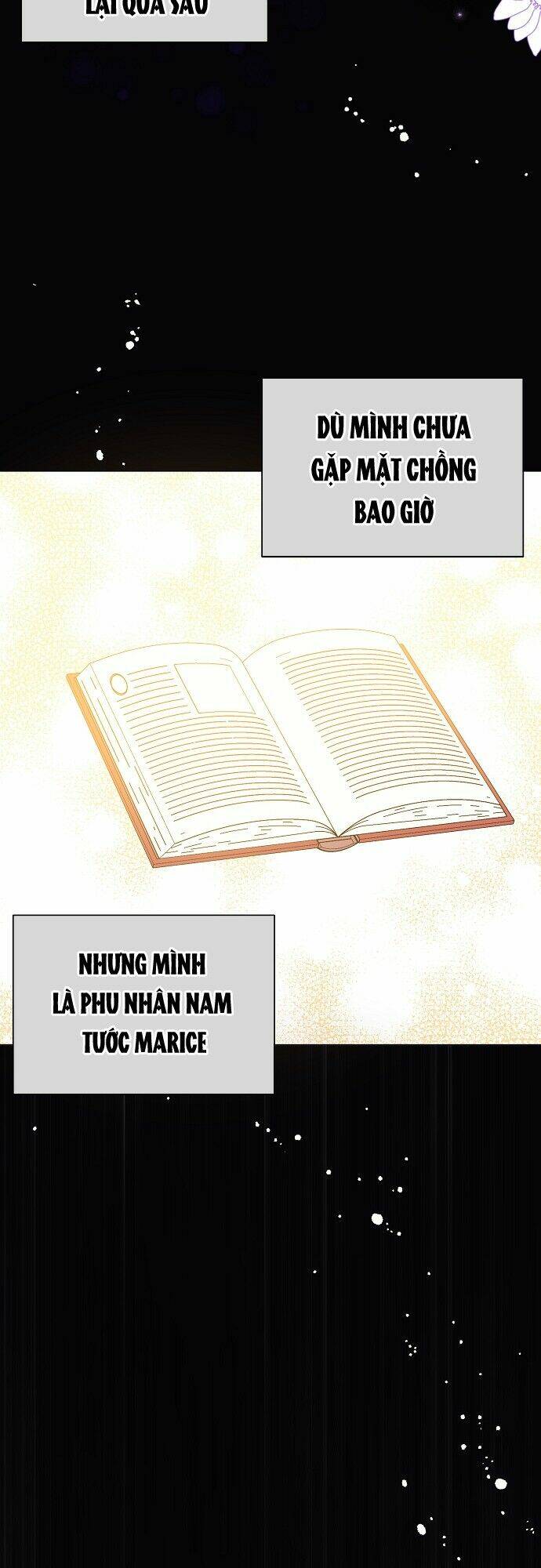 Tôi Không Cố Ý Quyến Rũ Nam Chính Đâu! Chapter 13 - Trang 2