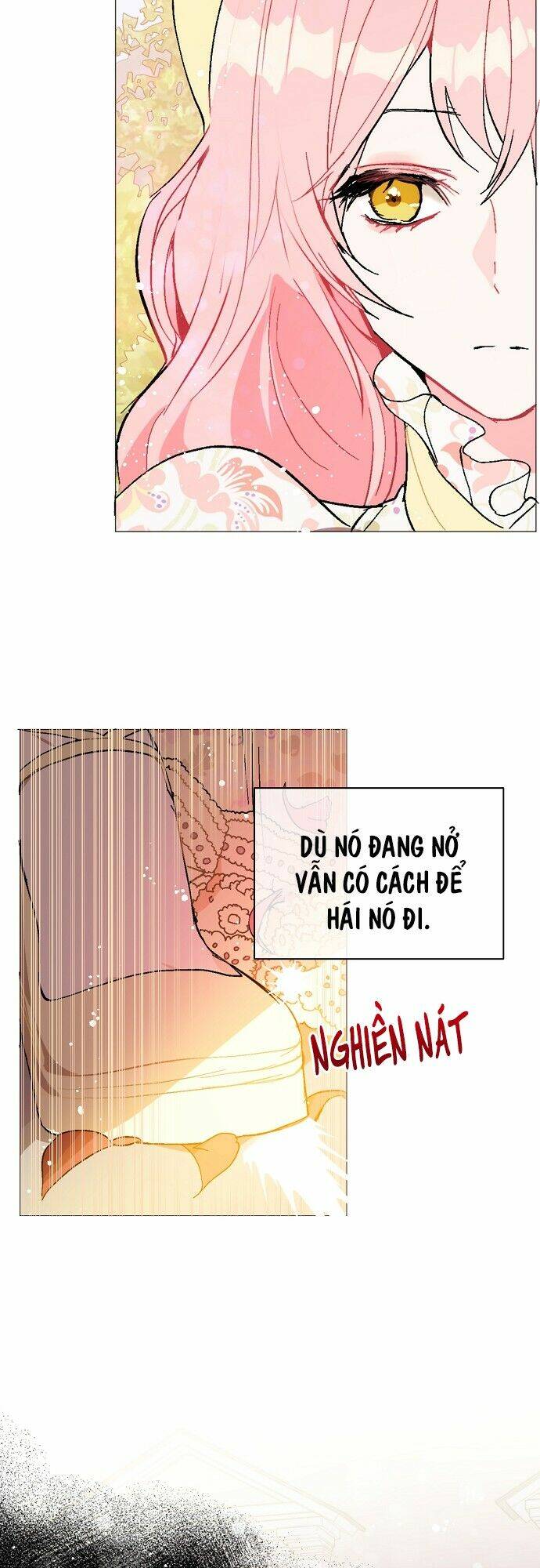 Tôi Không Cố Ý Quyến Rũ Nam Chính Đâu! Chapter 16 - Trang 2