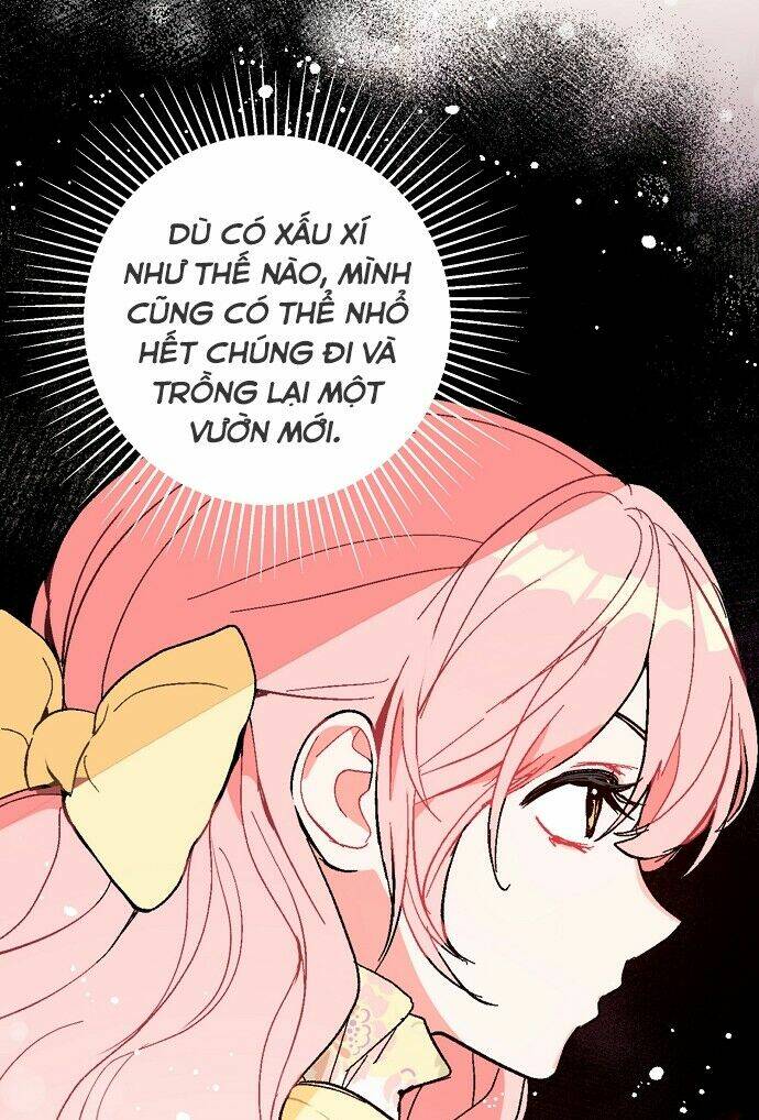 Tôi Không Cố Ý Quyến Rũ Nam Chính Đâu! Chapter 16 - Trang 2