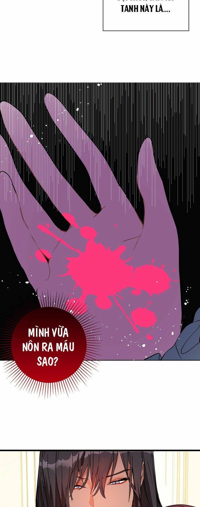 Tôi Không Cố Ý Quyến Rũ Nam Chính Đâu! Chapter 19 - Trang 2