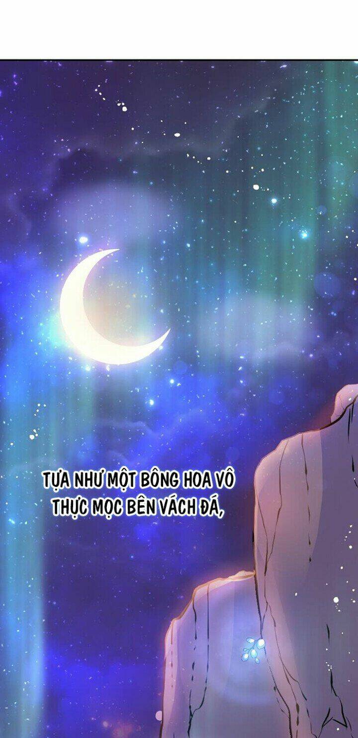 Tôi Không Cố Ý Quyến Rũ Nam Chính Đâu! Chapter 2 - Trang 2